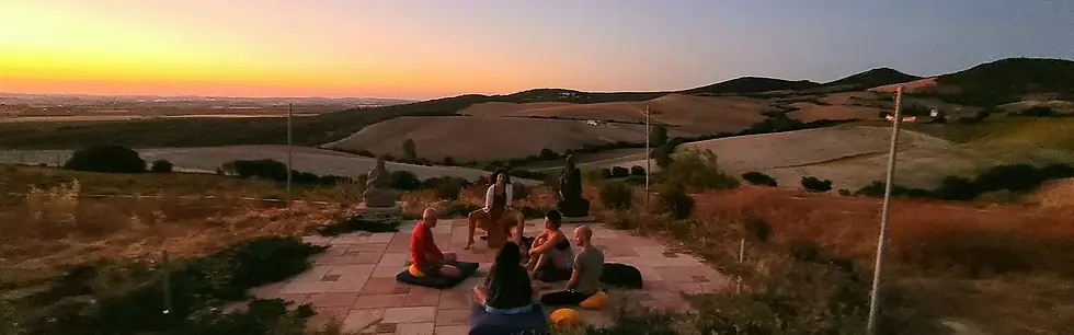 international yoga retreats.webp