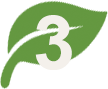 Green leaf with number 3