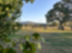 View from Rosedale House and Apartment Mansfield Accommodation - Pet friendly group holiday rental