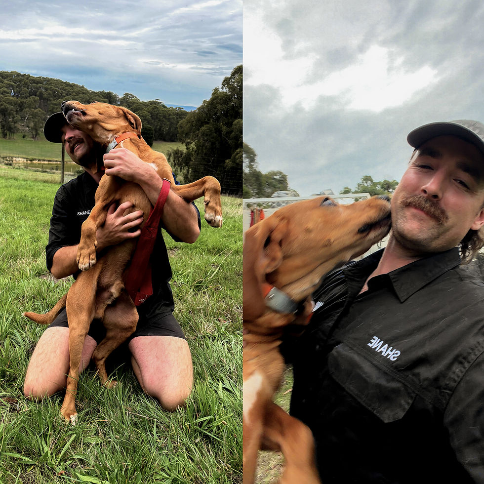 Shane from WAGS Electrical - Reliable Electrician in Melbourne, Monbulk, High Country and Gippsland,