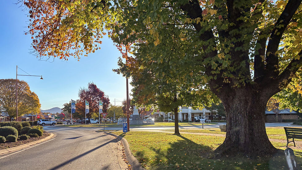 Mansfield Website & Graphic Design Jess MacDonald.jpg