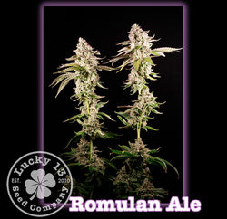 Romulan Ale
