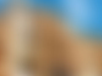 Is Mass Timber the Future of Affordable, Eco-Friendly Construction?