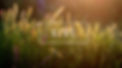 TV-Web-Headers-giving-1.jpg