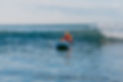 0N4A9613.jpg