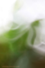 Qui_regarde_une_fenêtre_fermée