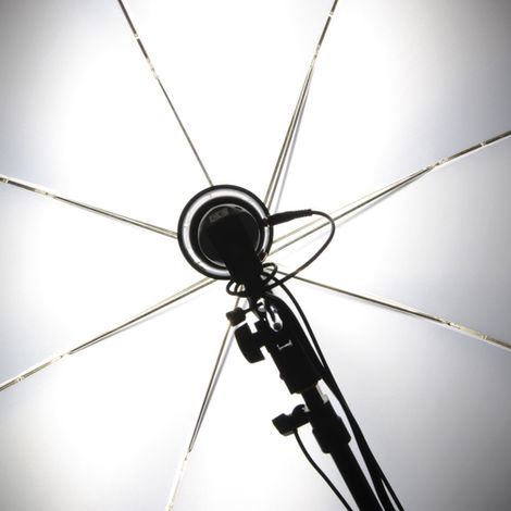 Black and white umbrella picture