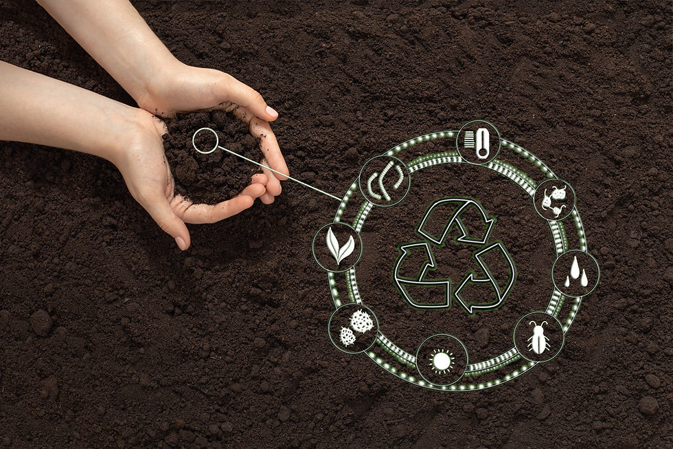 La agricultura regenerativa y su impacto en el cambio climático