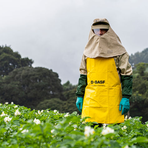 Proteger a los polinizadores cuando se aplican agroquímicos