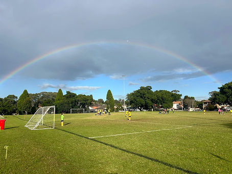 Burwood FC Update – 24 June 2025