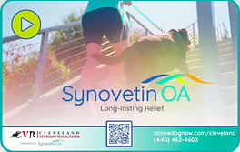 synovetin lgoo.png