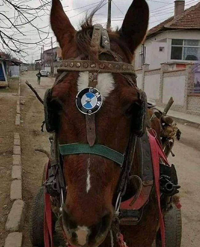 Funny pictures one horsepower BMW