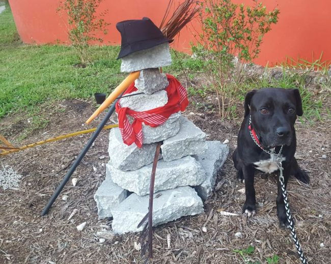 Funny pictures stone snowman and dog