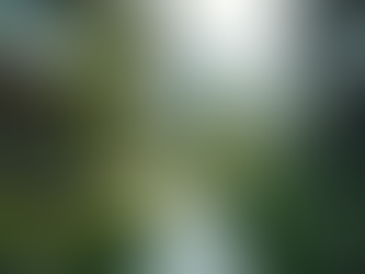 Investitionsmanagement und Governance: Unsere Vision