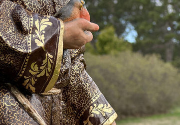 Saint Francis Details