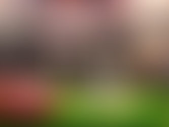 Super Bowl Blog Round-Up