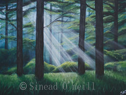 wm forest light