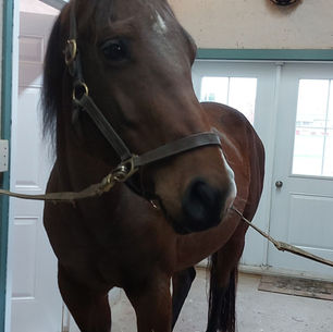 Een rustig begin van november