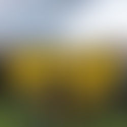 Een koud voetbal weekend