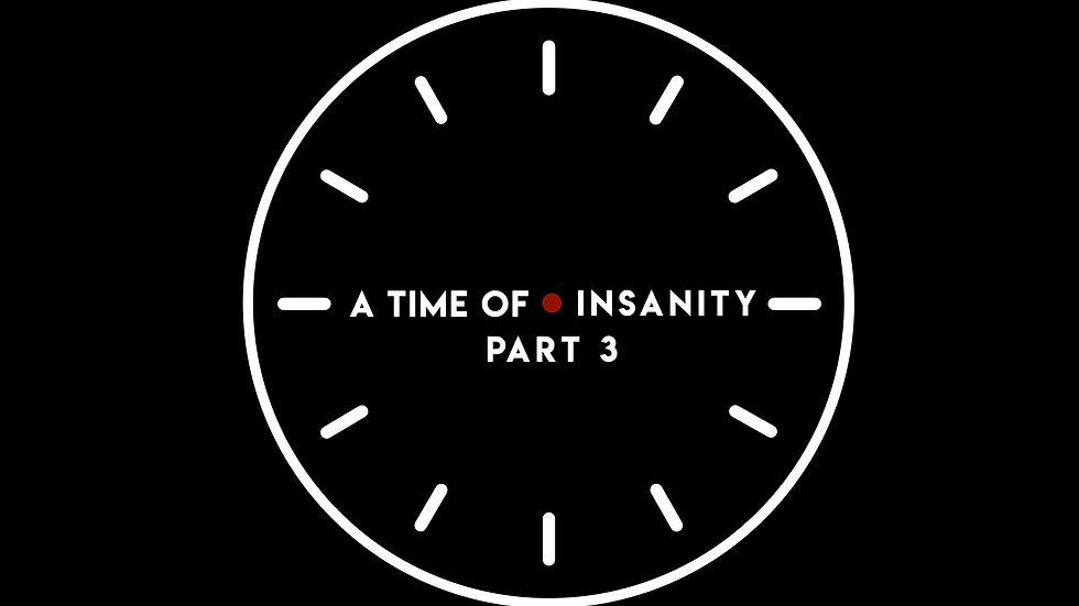 ATimeofInsanity2-3.002.jpeg