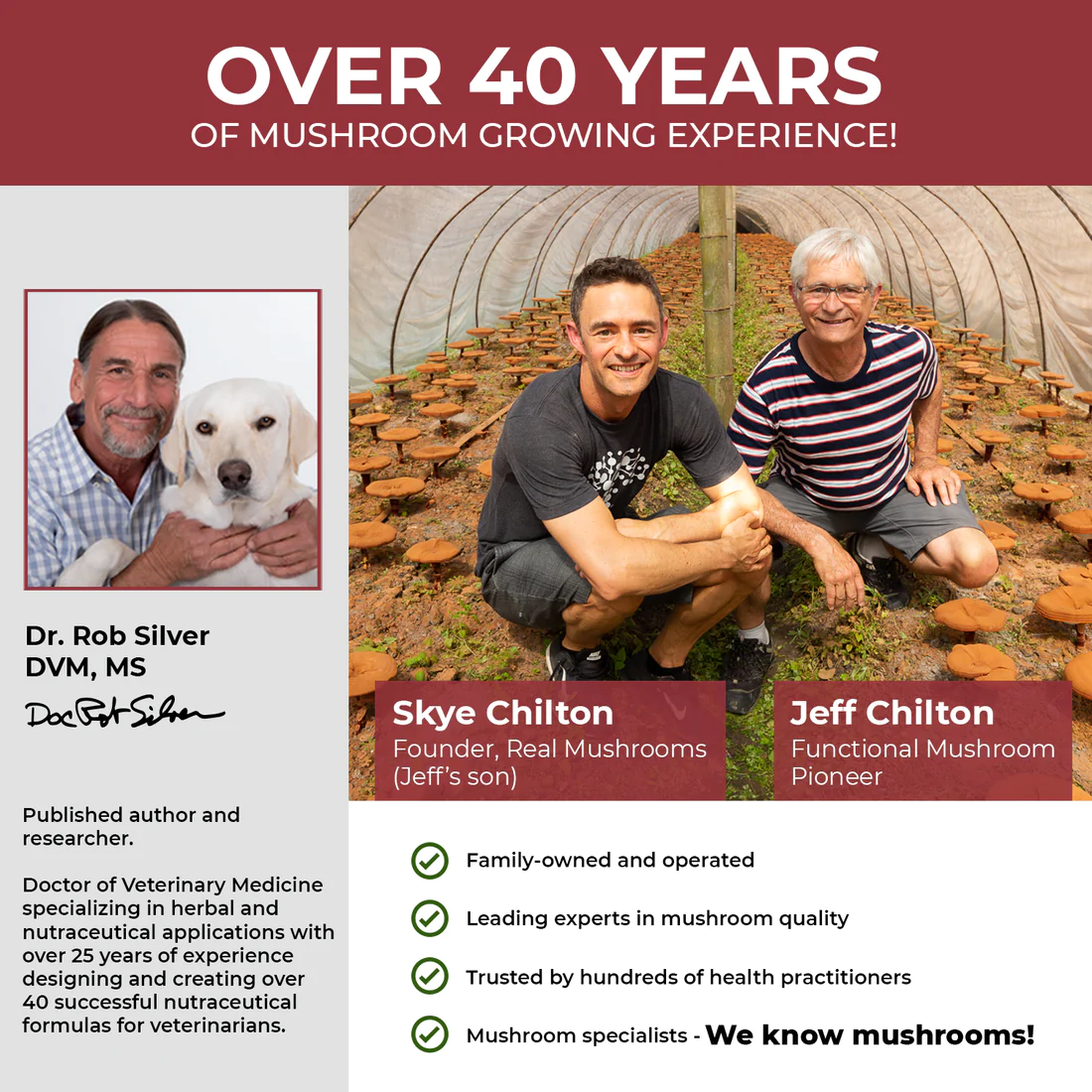 Mushroom Relax Pet Chews the perfect solution to help your anxious pet