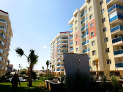 WhatsApp Image 2017-04-19 at 2.22.59 AM (3)