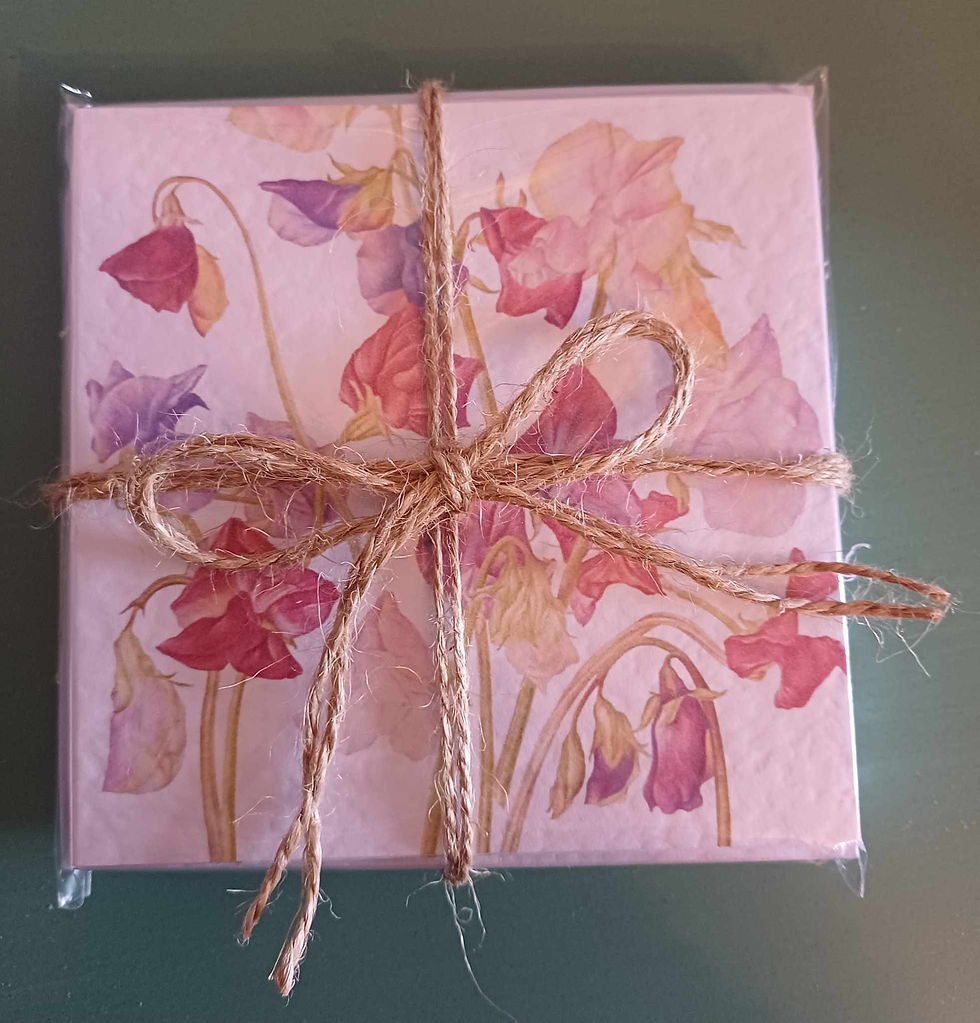 Sweetpea Notecards