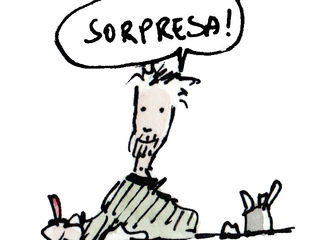 Nuovamente di Bolina