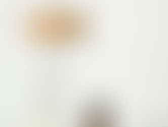 Journey: Metabolic Support