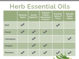 Herbaceous & Beneficial