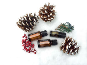 Diffuser: Christmas is Coming!