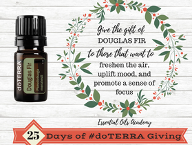 December Day 4: Douglas Fir