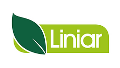 Liniar.png