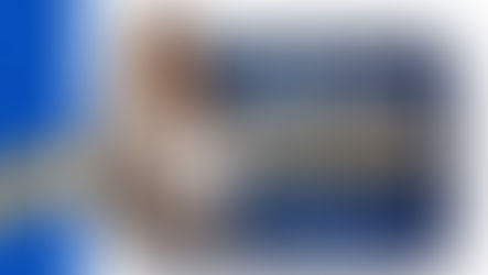 Como a reforma tributária pode impactar os distribuidores pet e vet