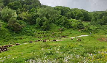 20230606_151600 (1).jpg