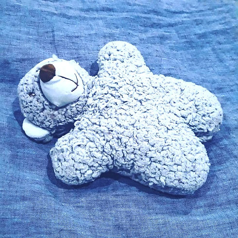PSX_20210127_222030%2520(1)_edited_edited_edited.jpg