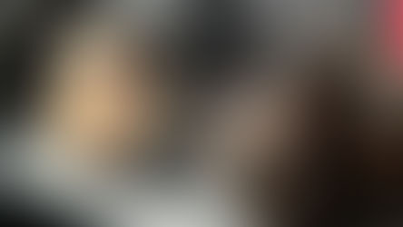 Dog Motion Sickness: Causes, Symptoms, and How to Help Your Pup