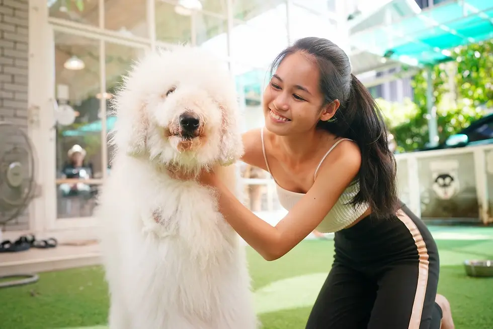 furry friends young girl with dog