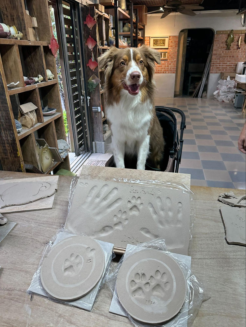 Dog with family hand and paw clay impressions