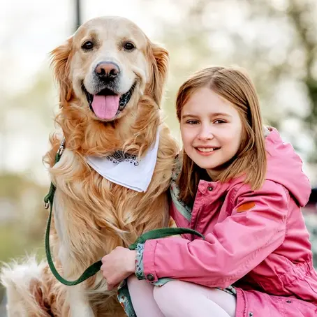 5 Ireland Must-See Dog-Friendly Tourist Attractions
