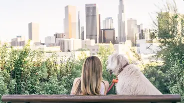 10 Paw-some Dog Cafe in Los Angeles You Cannot Miss!