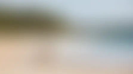 Ready for a Fiji Adventure? Check Out These Pet-Friendly Travel Spots!