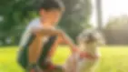 A boy laughs while petting a small dog on a sunny grassy field.
