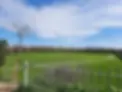 dog park