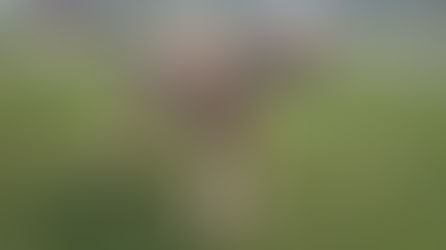 5 Must-Try Things to Do in Canada for an Unforgettable Adventure