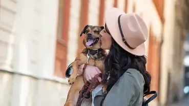 Tips for Travelling to Spain With a Dog