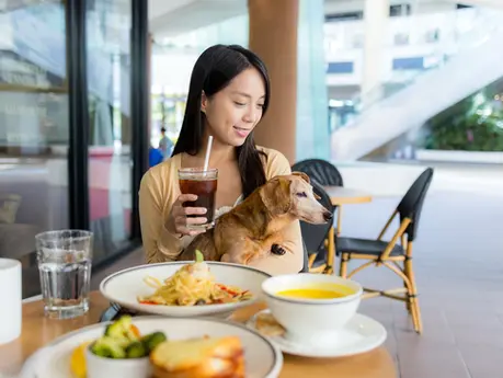 5 Best Pet Friendly Cafes in Macau for You and Your Pup