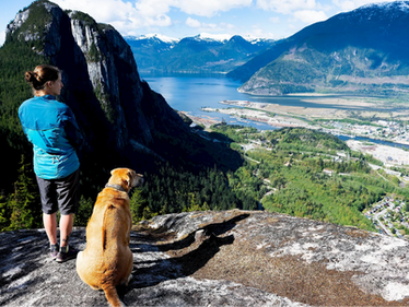 human with dog on mountain hill