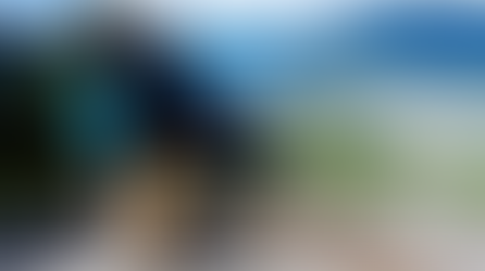 human with dog on mountain hill