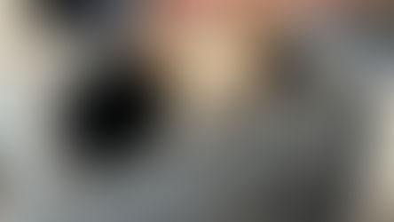 How to Fly With a Dog in-Cabin